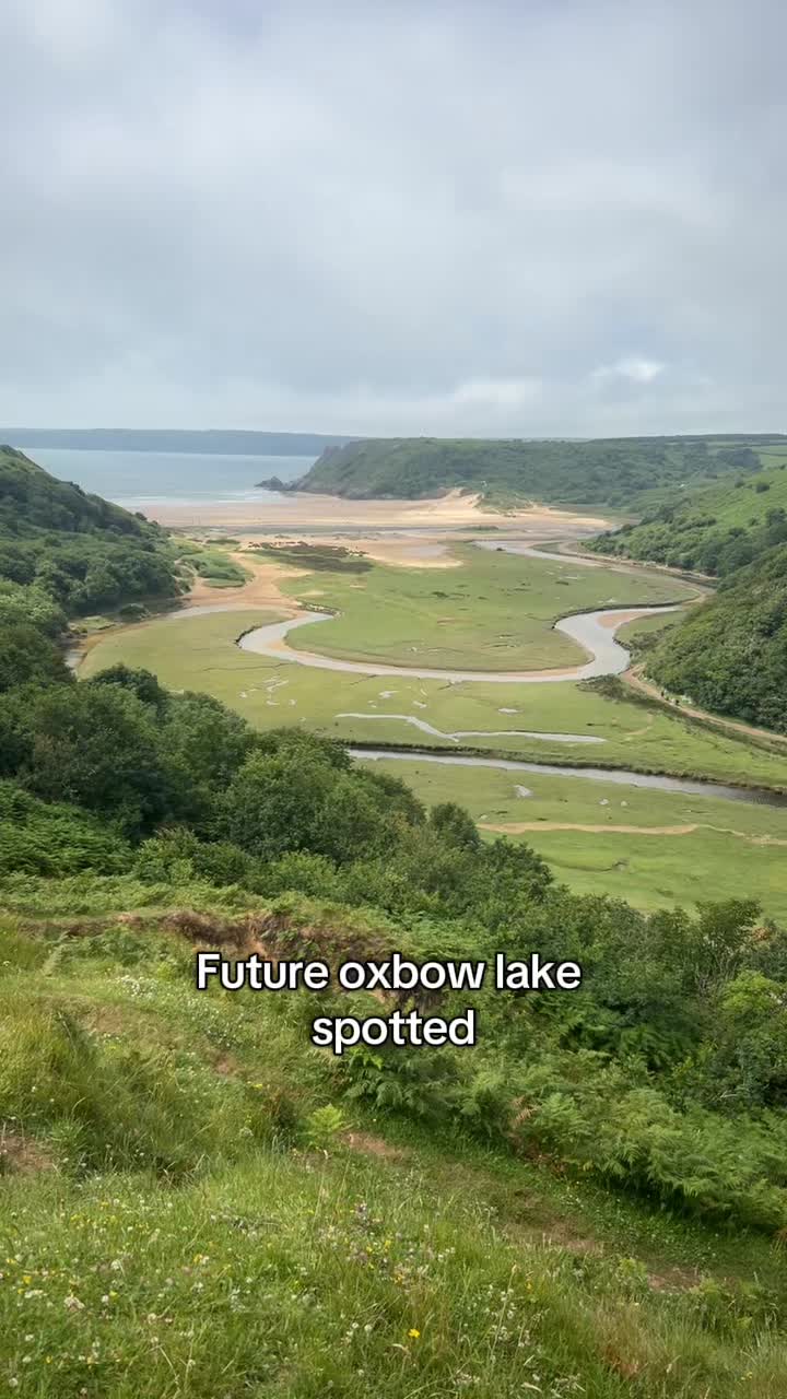 @Sam Bentley | Ecology