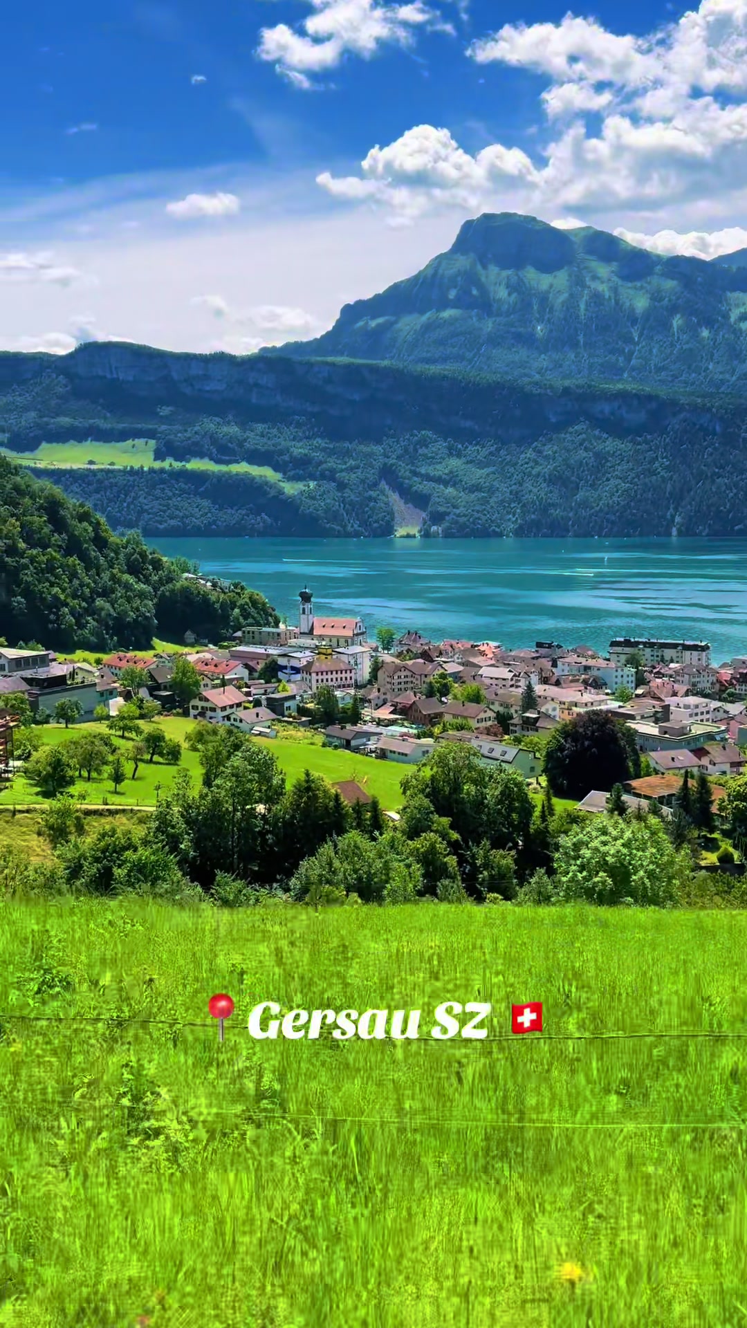 @swiss_alps