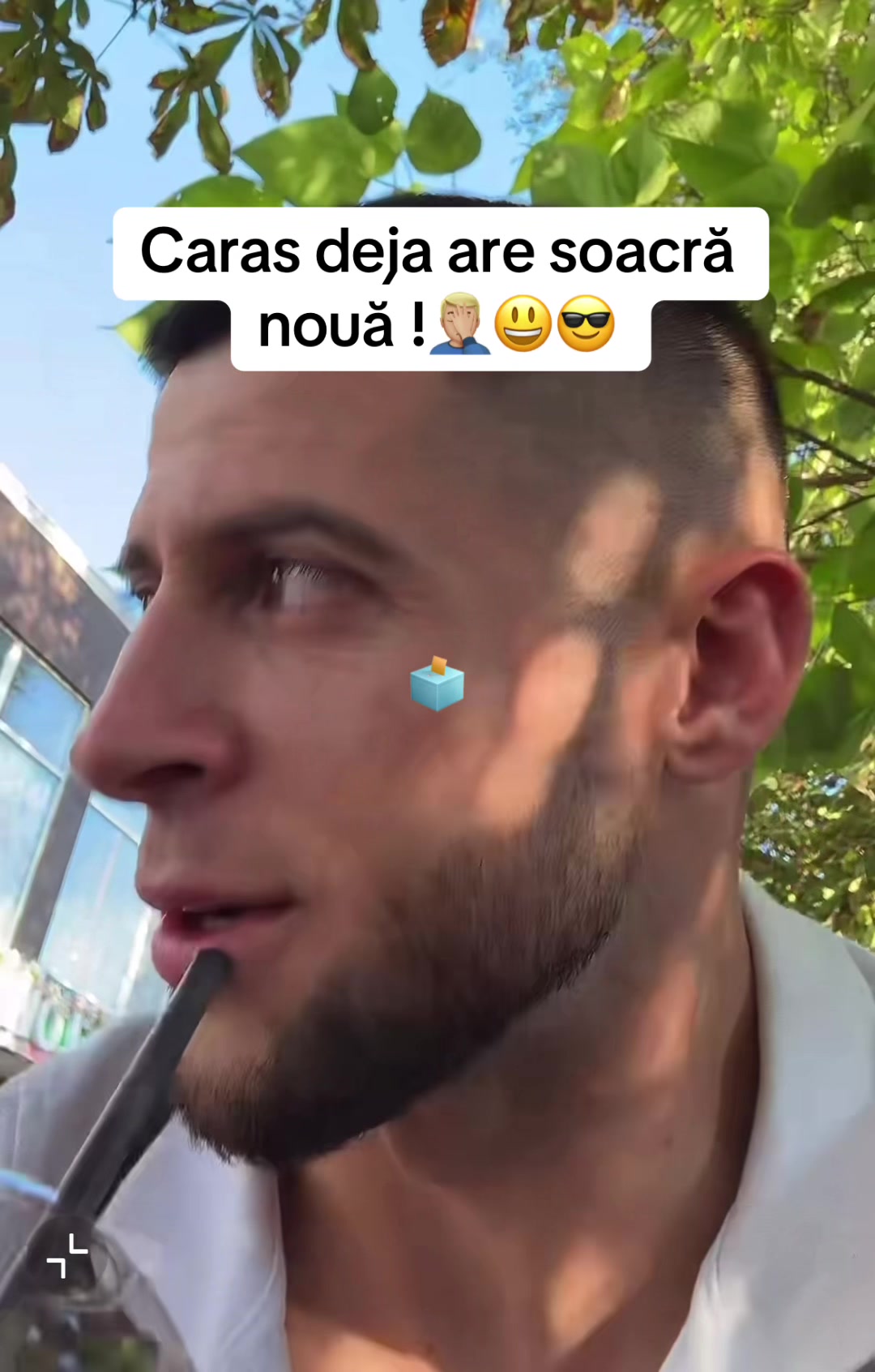 @Cutia pandorei 🗳️