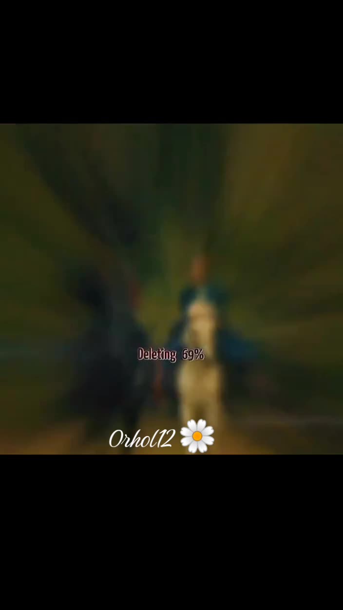 @ORHOL.12