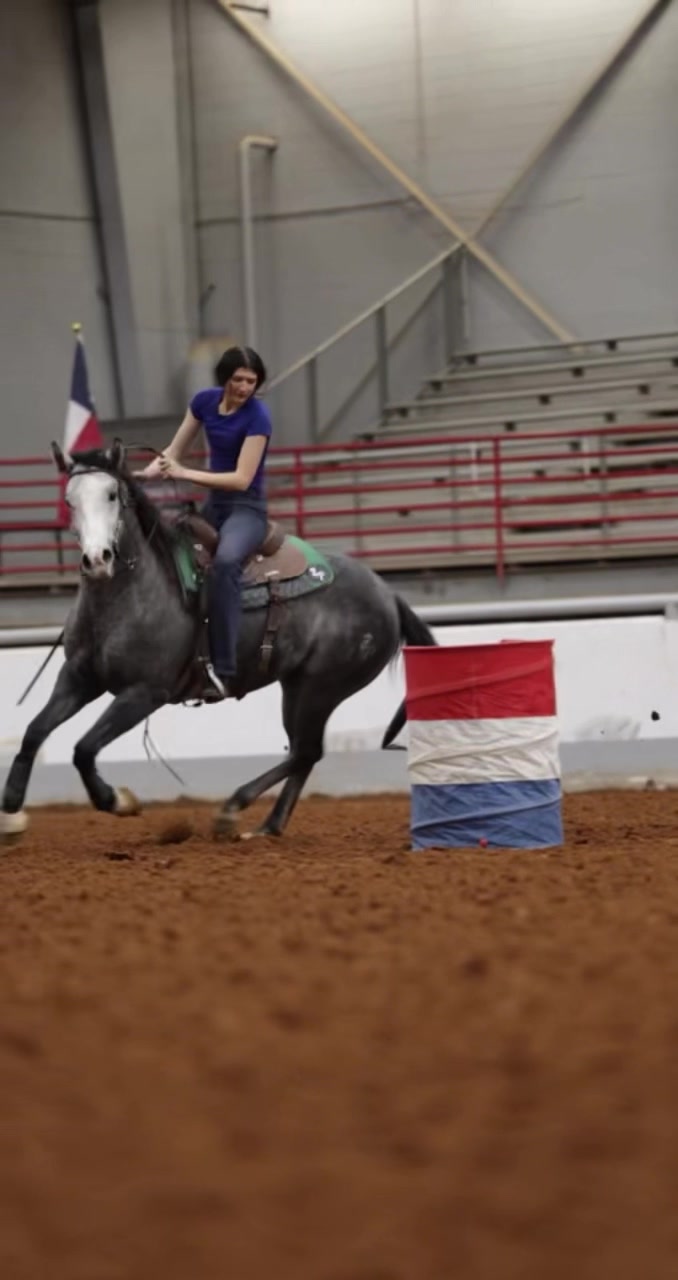 @5 Star Equine