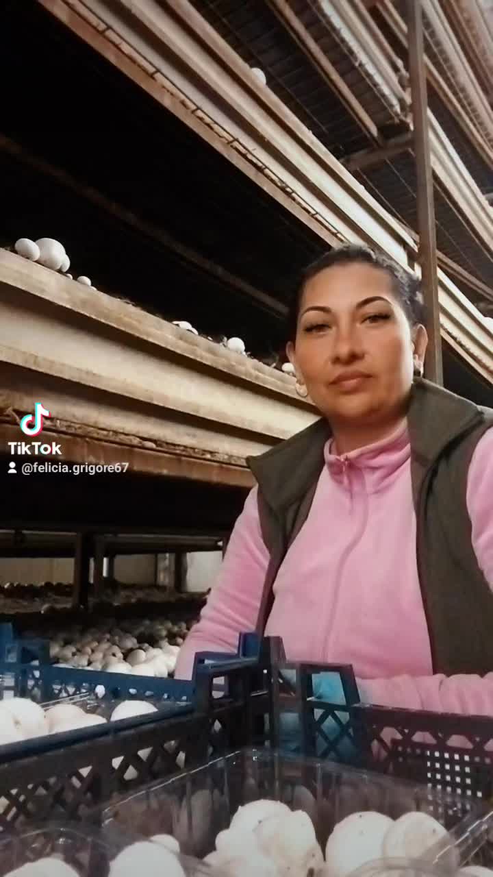 @Felicia Grigore6