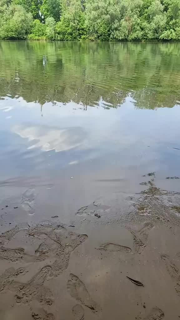 @JðAðSðMðIðNððžð