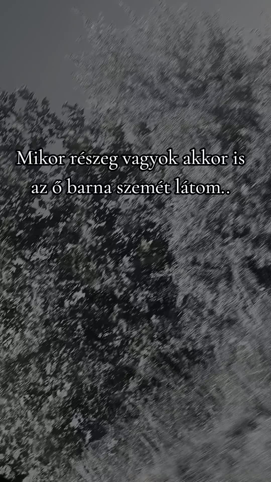 @𝓝𝔂𝓪𝓯𝓲 🐈