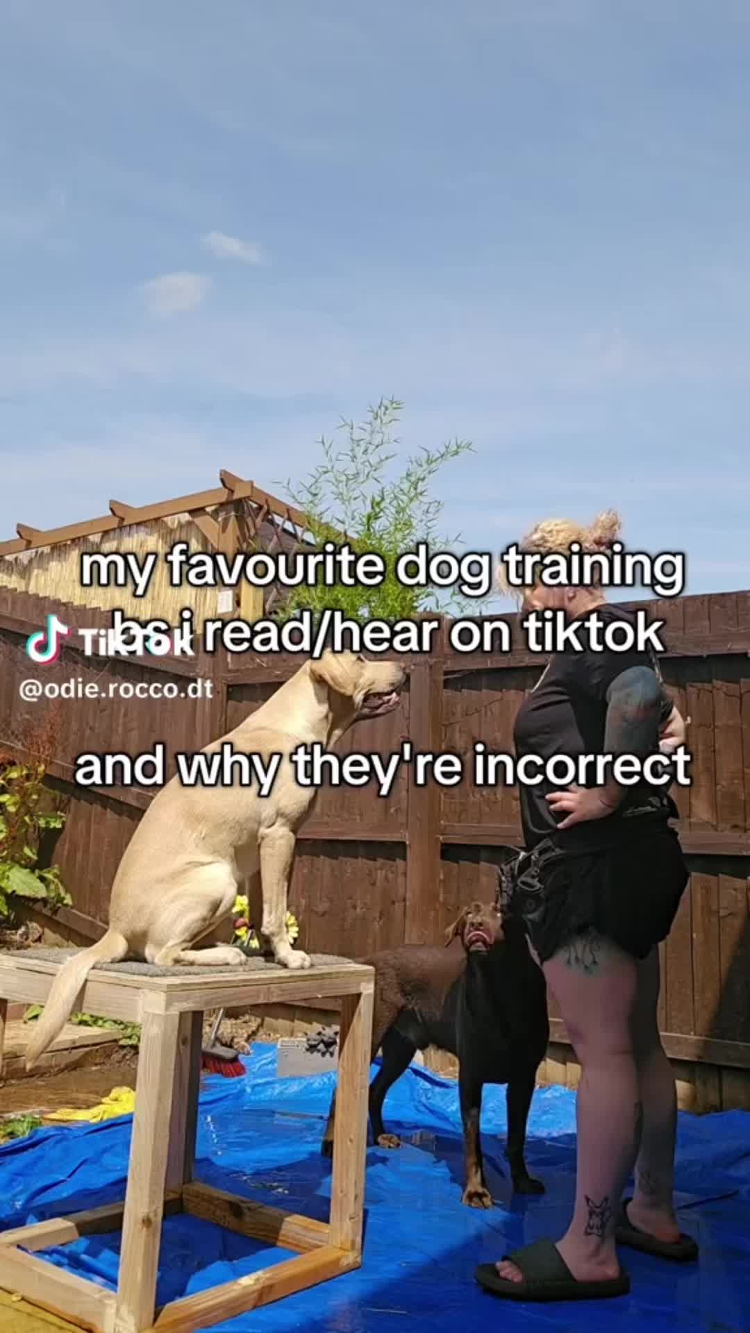 @Oreo