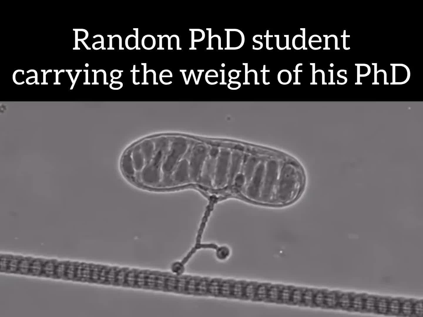 @Raúl Peña PhD