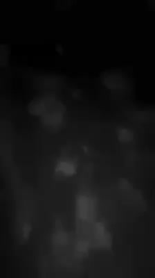 @jojo26051993