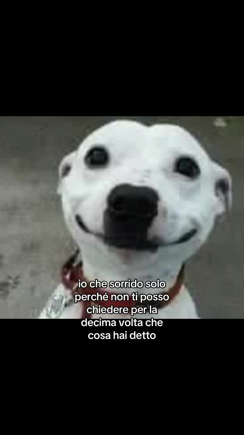@memé