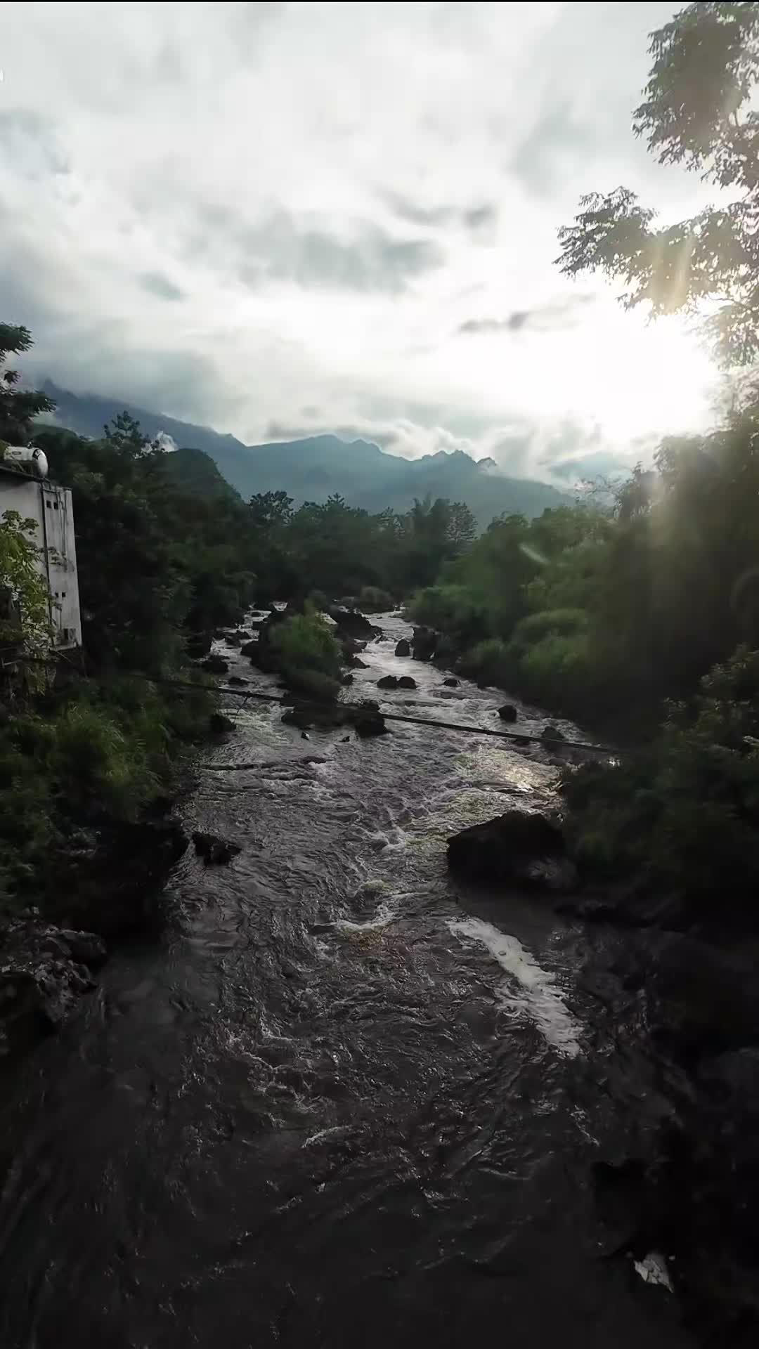 @S1LVER