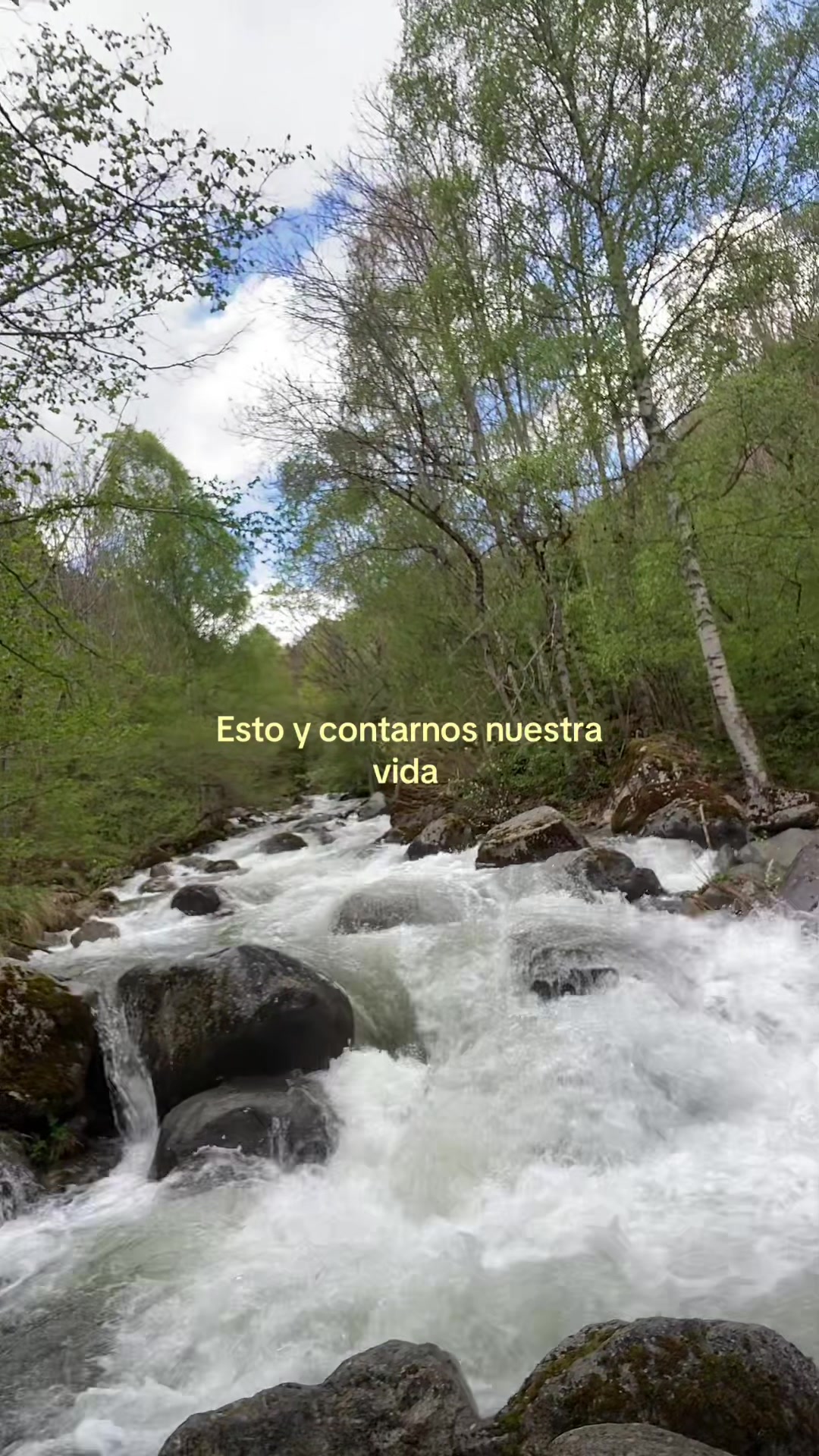 @INES
