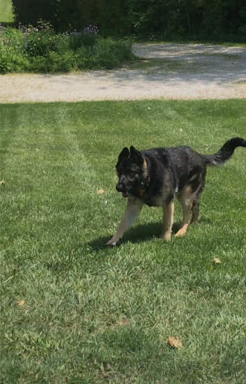 @MERCURY_GSD_24_7