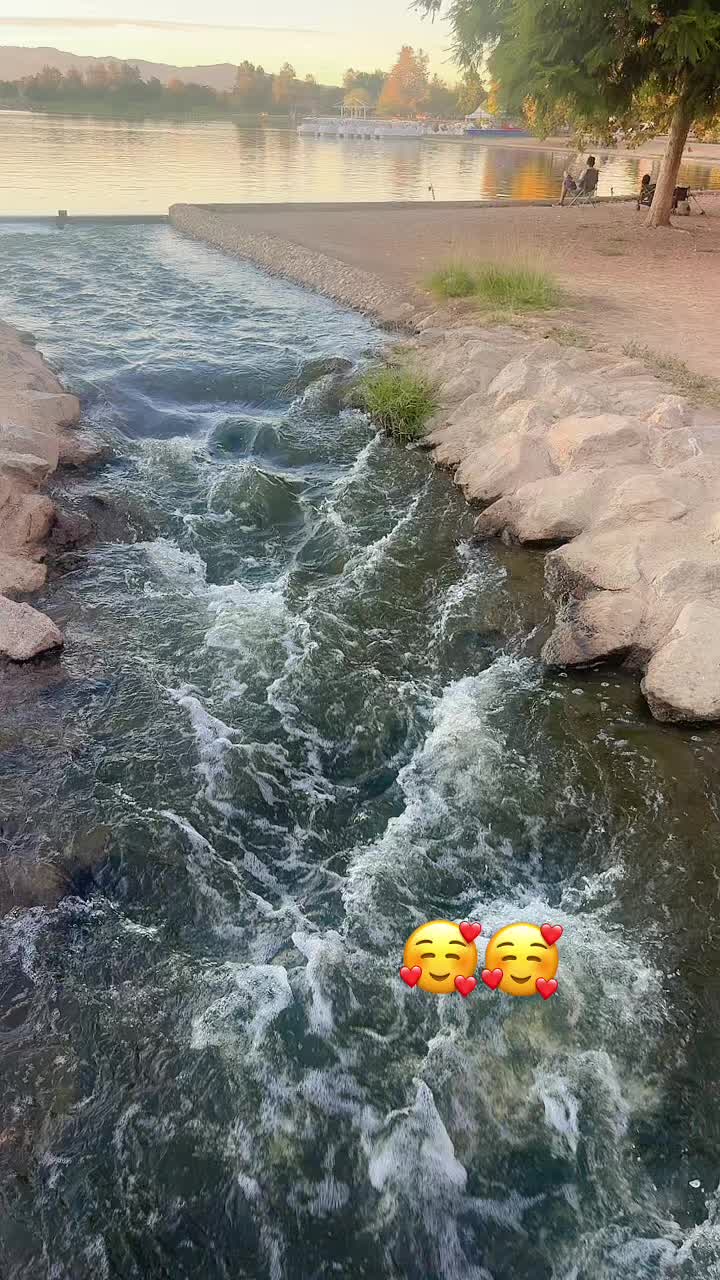 @asaljan0012