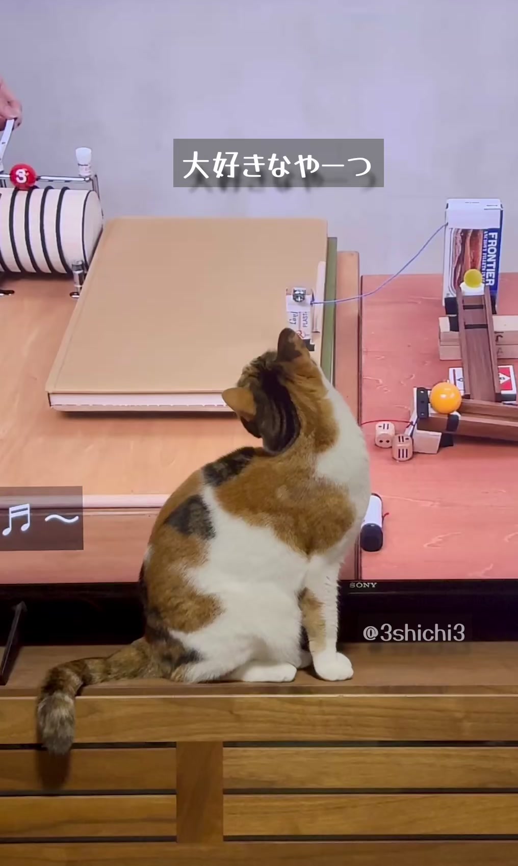 @シチサン