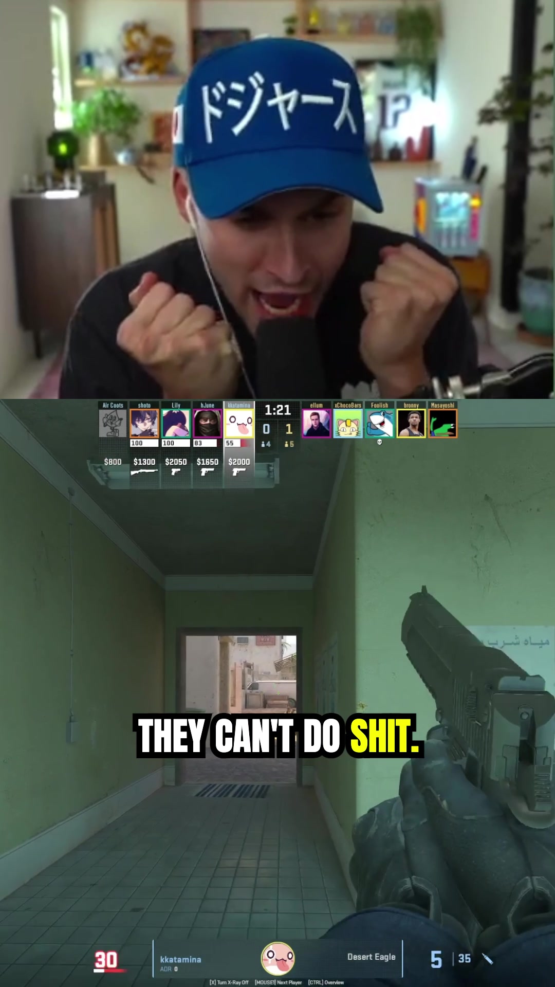 @Ludwig Clips
