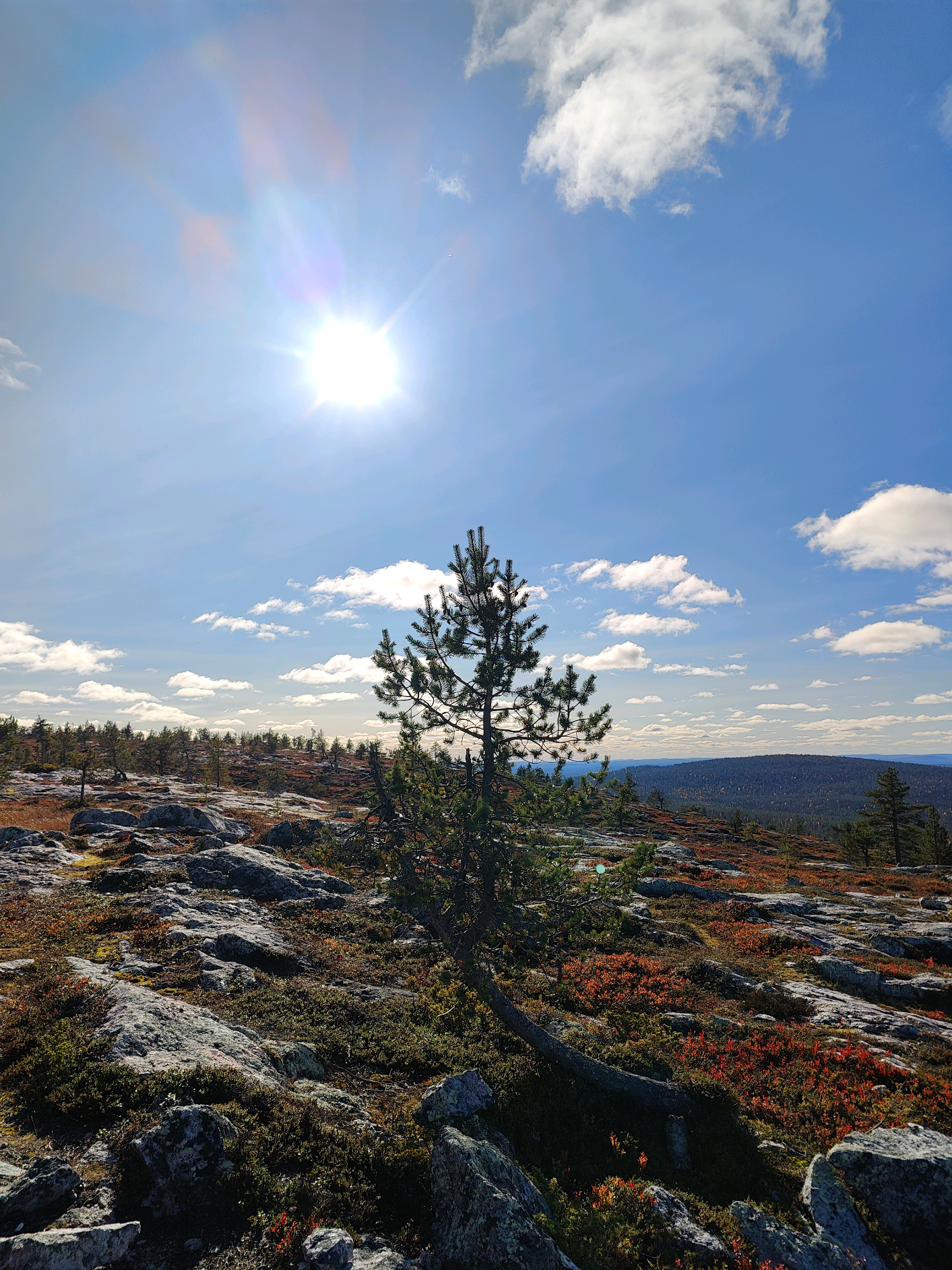 @aada | sun eräkaveri