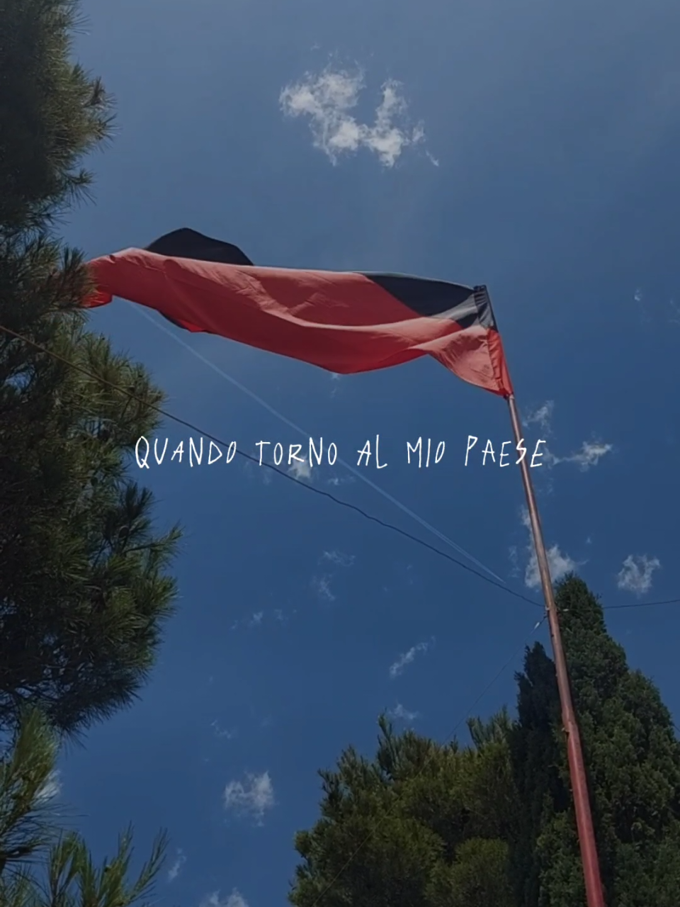 @Luana Milone
