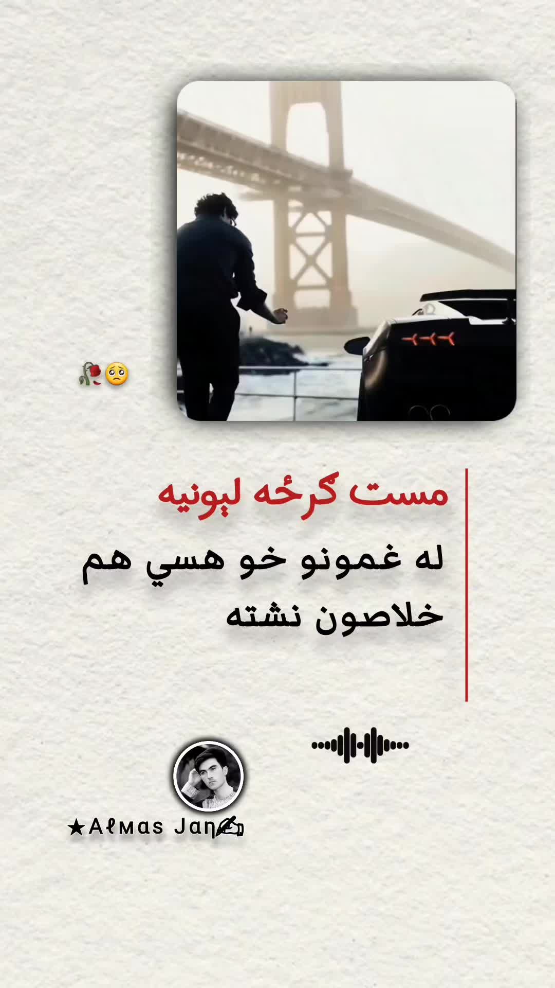 @𓆩𝐀𝐥𝐦𝐚𝐬 𝐉𝐚𝐧𓆪