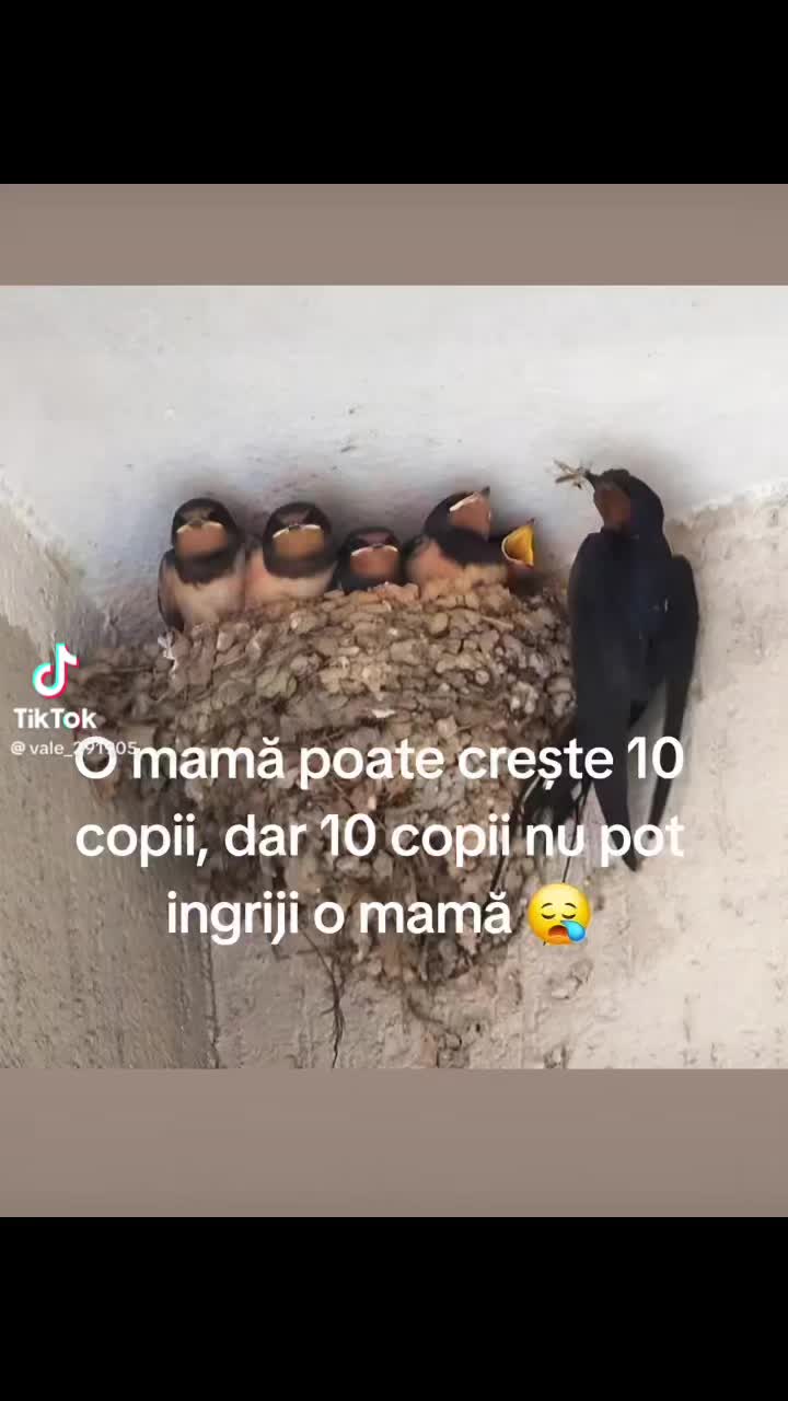 @ct97jan