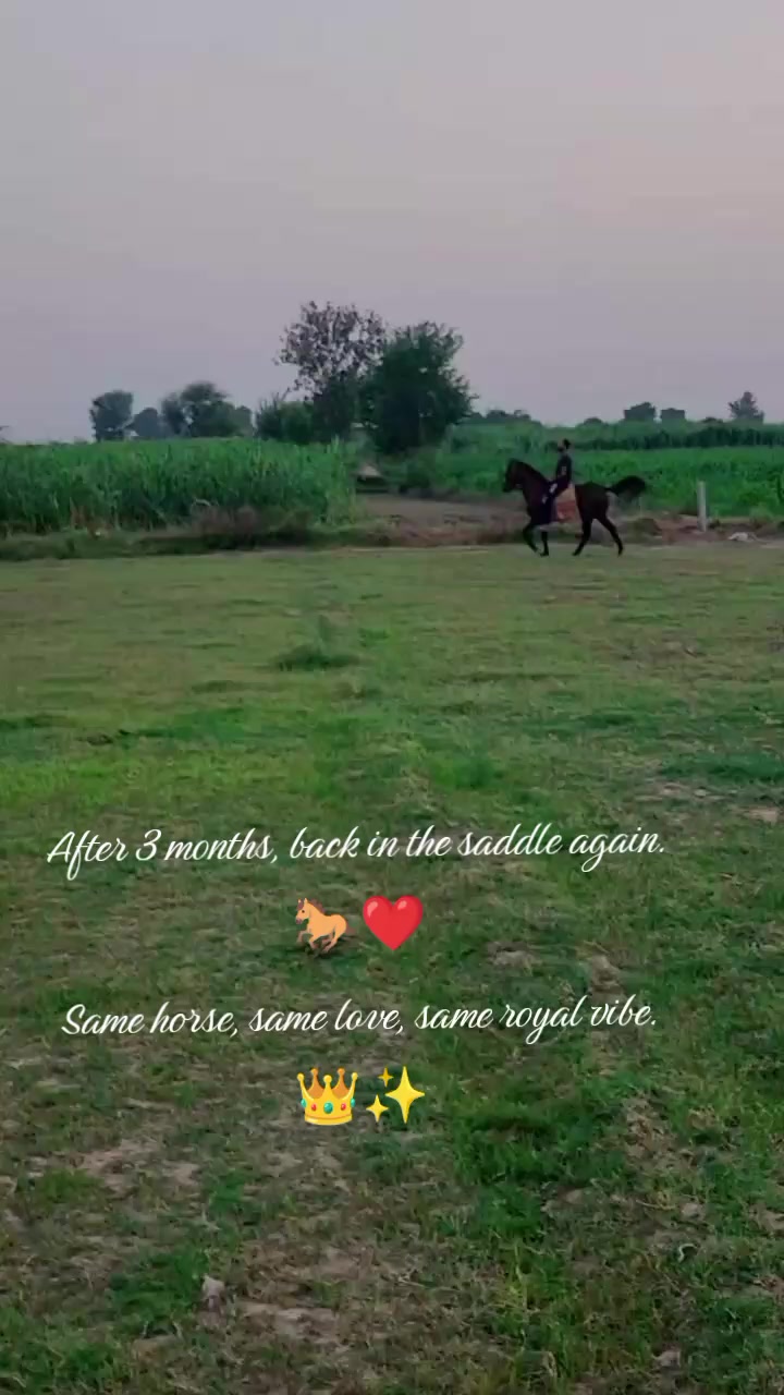 @احمد گل نمبر دار