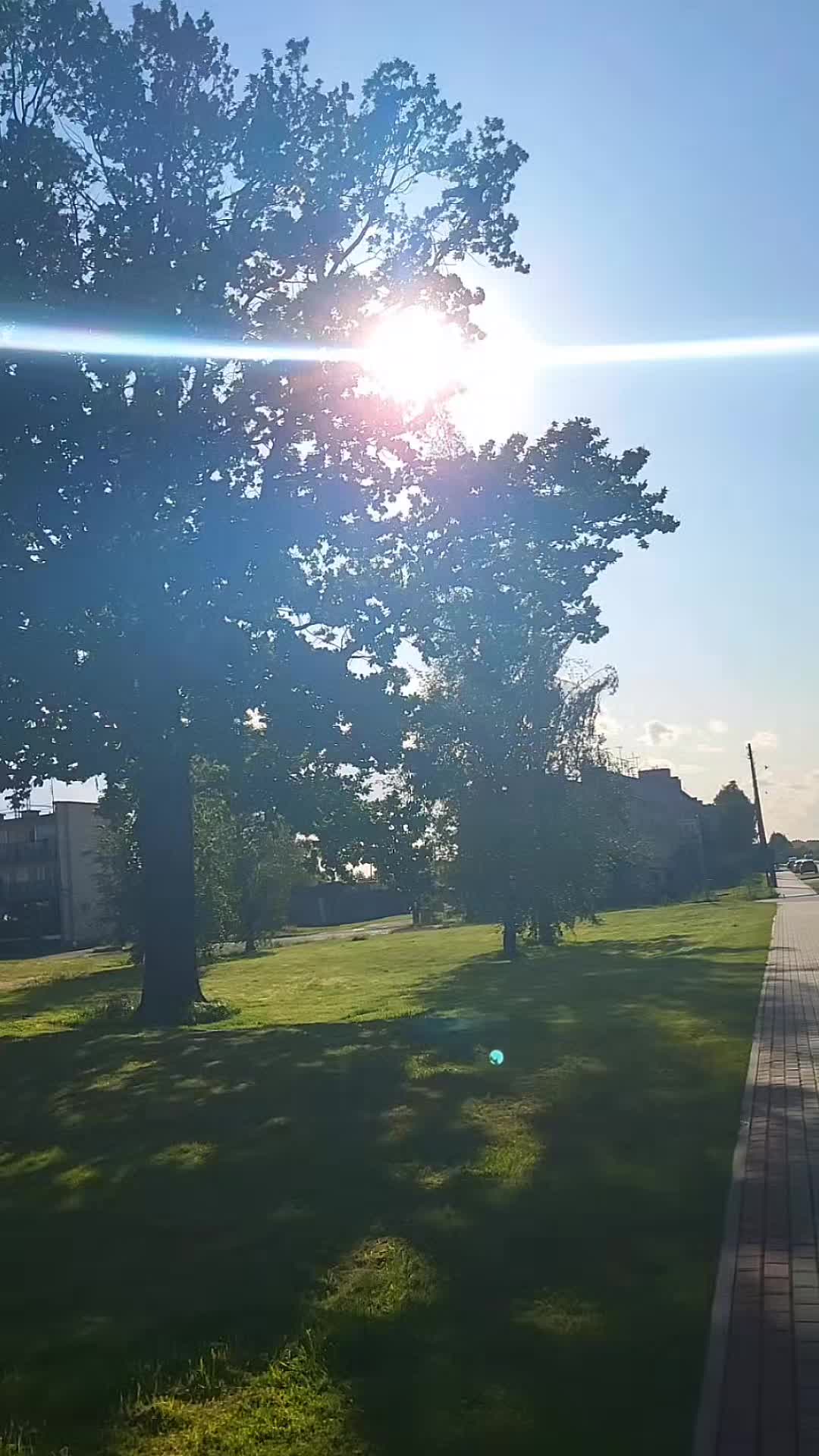 @_t_a_t_j_a_n_a_