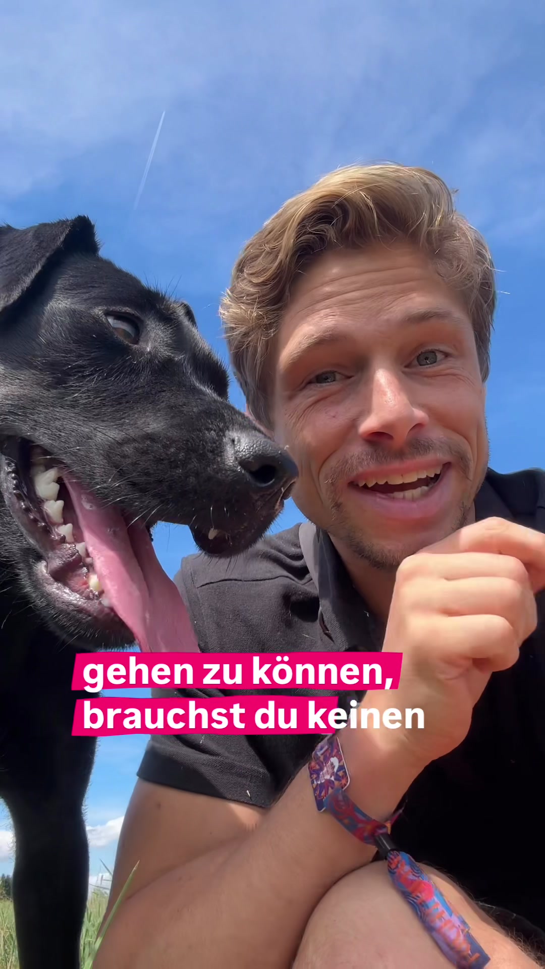 @Urs von Vergiss die Leine