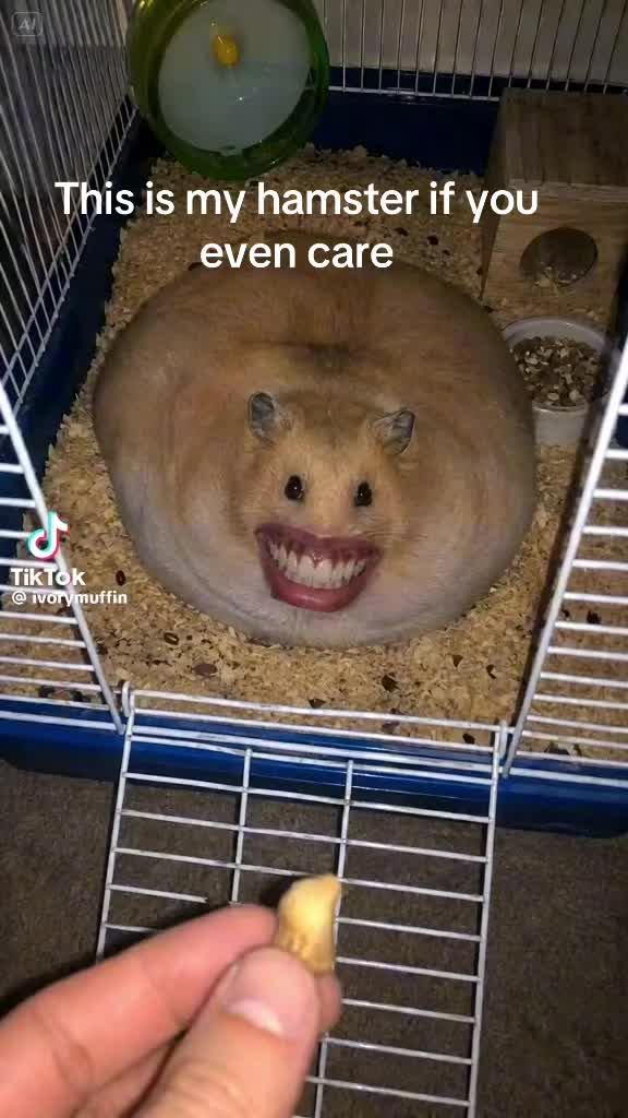 @Good humour