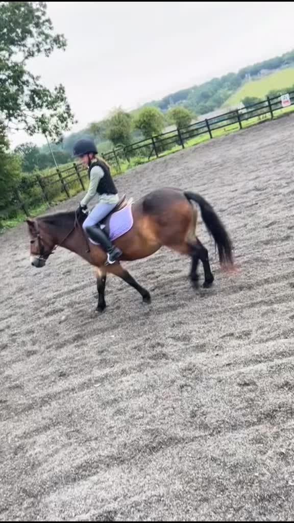 @Kitty equestrian.