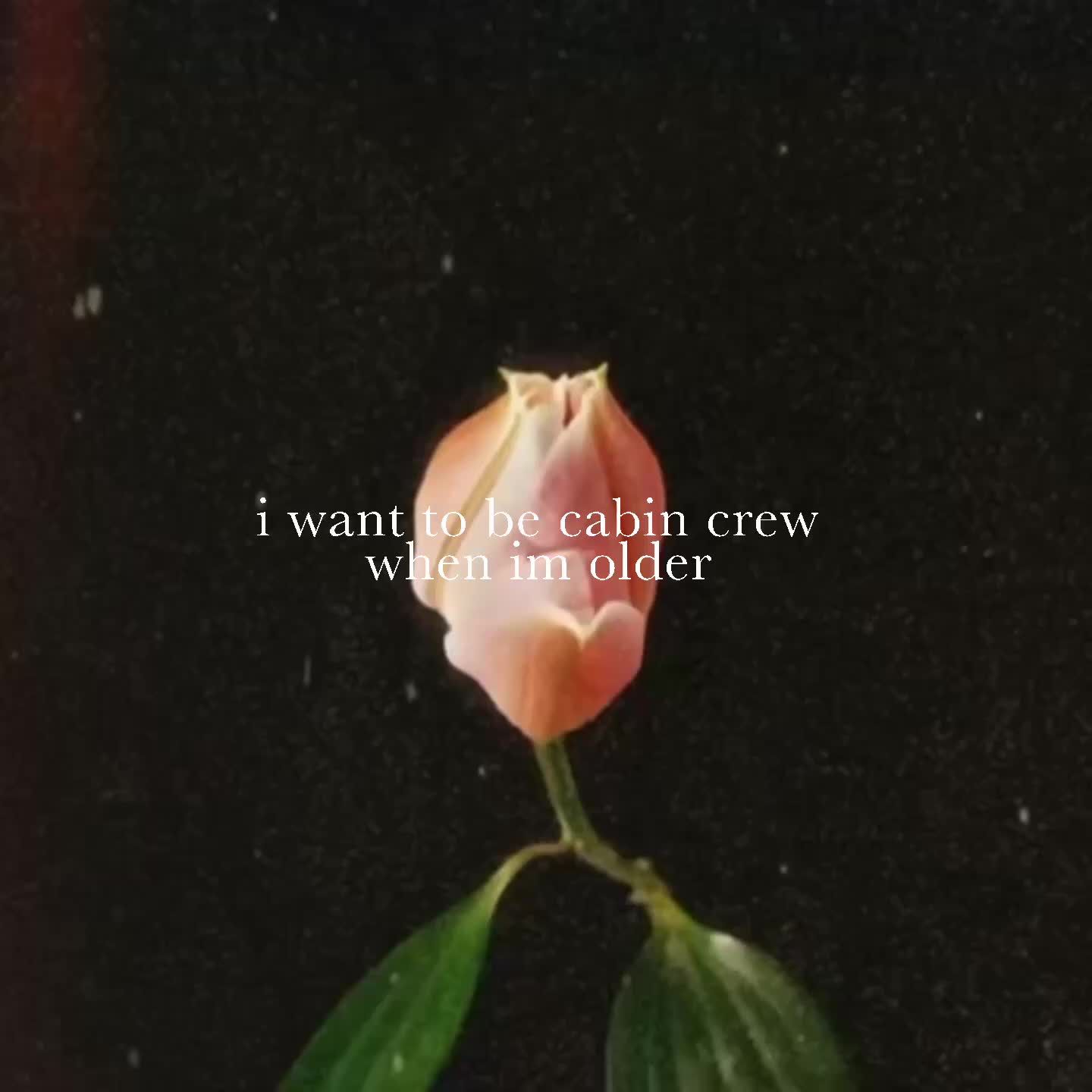 @💕💕