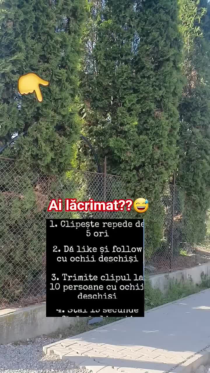 @Florinel-LTY1