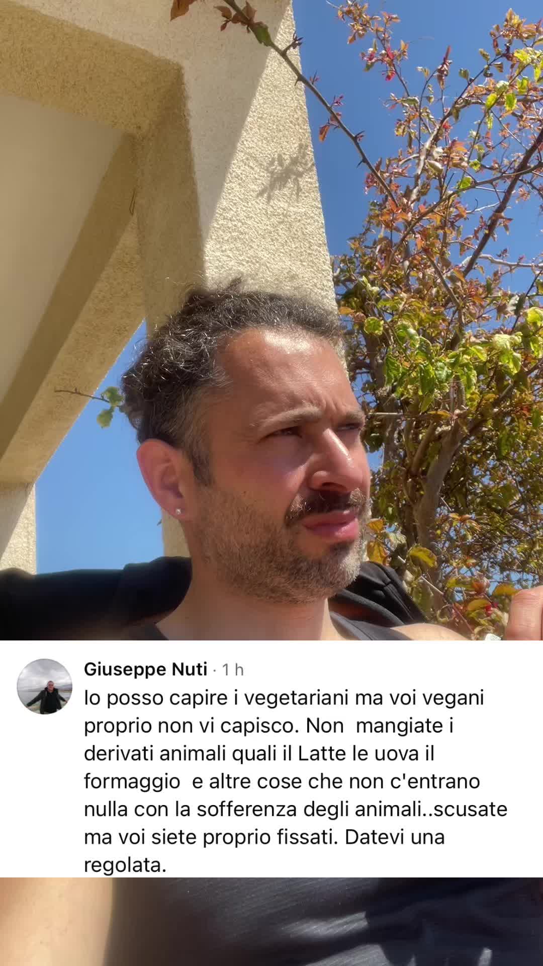 @Vegantok