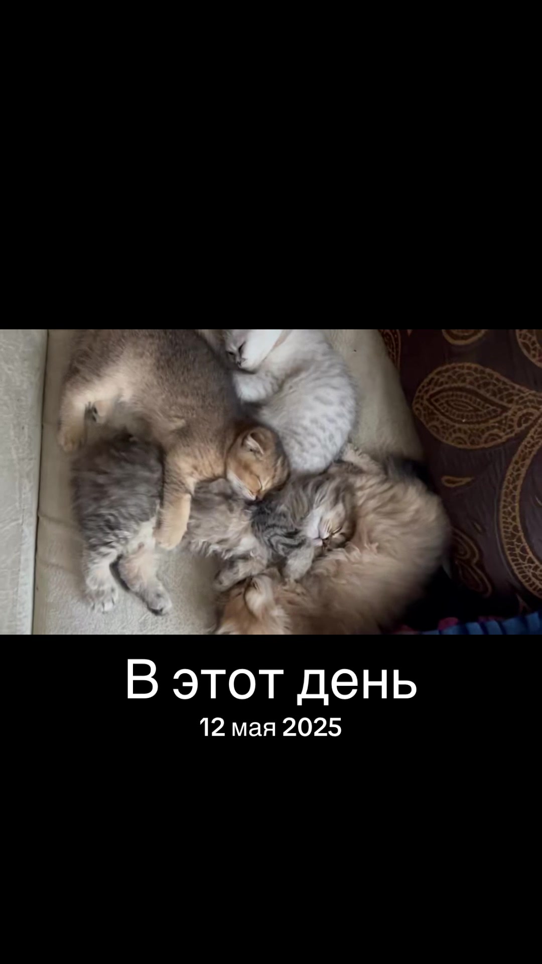 @Лилия Лебедева Соколова