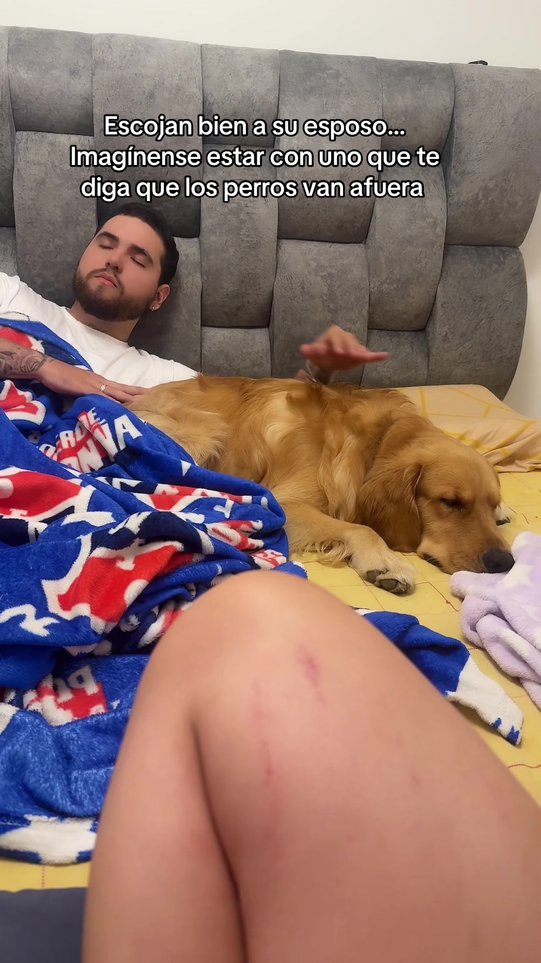 @Soy Milo 🐶