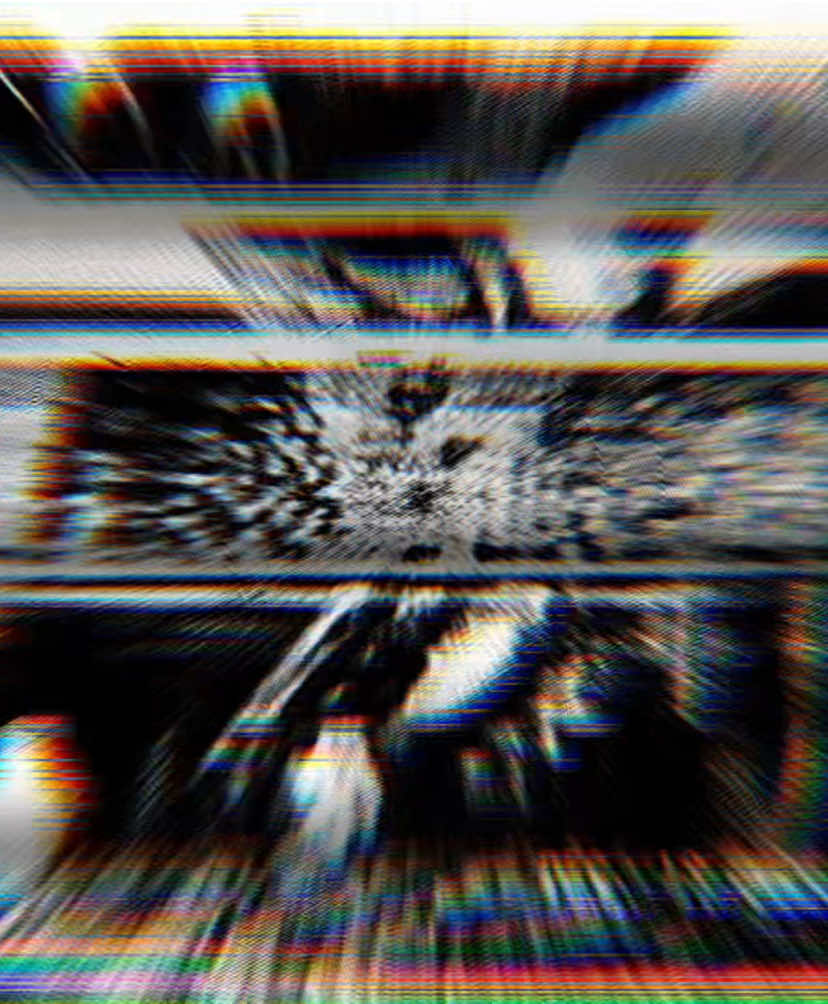 @AntiBrainRot