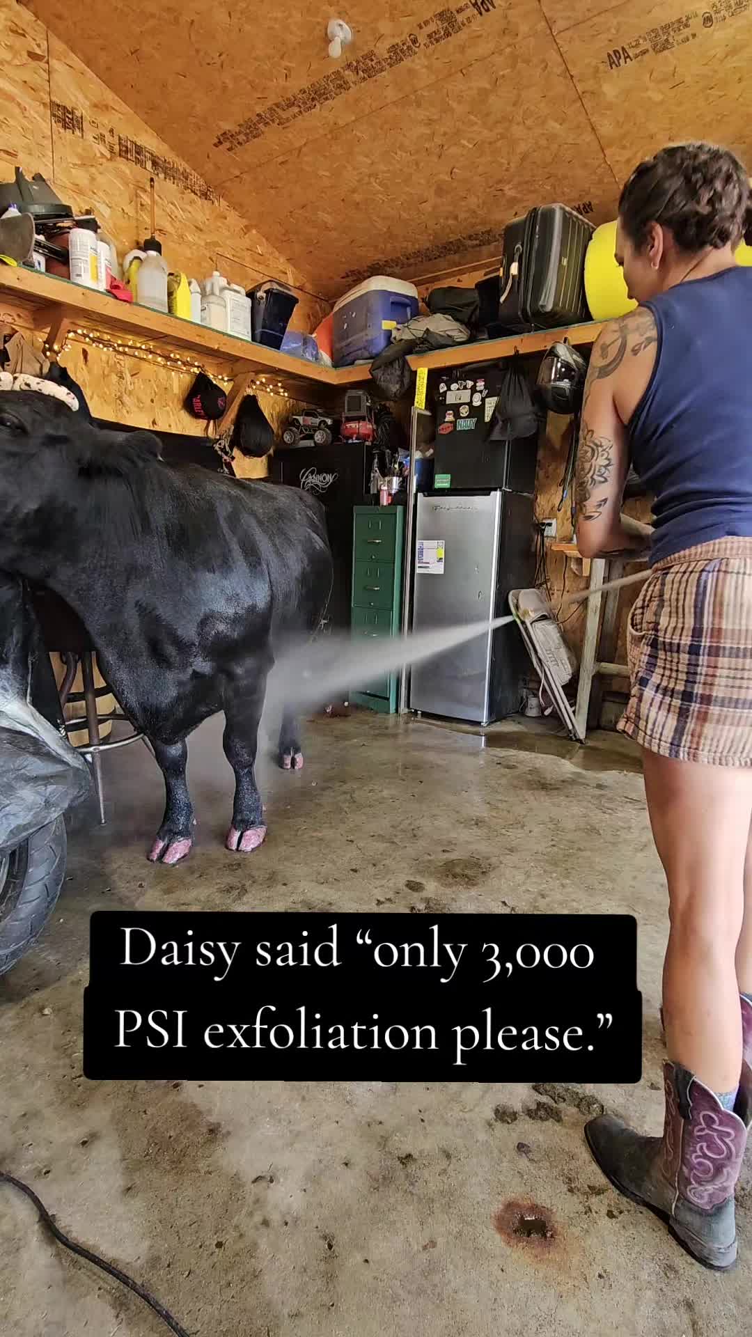 @Dakotafunnyfarm