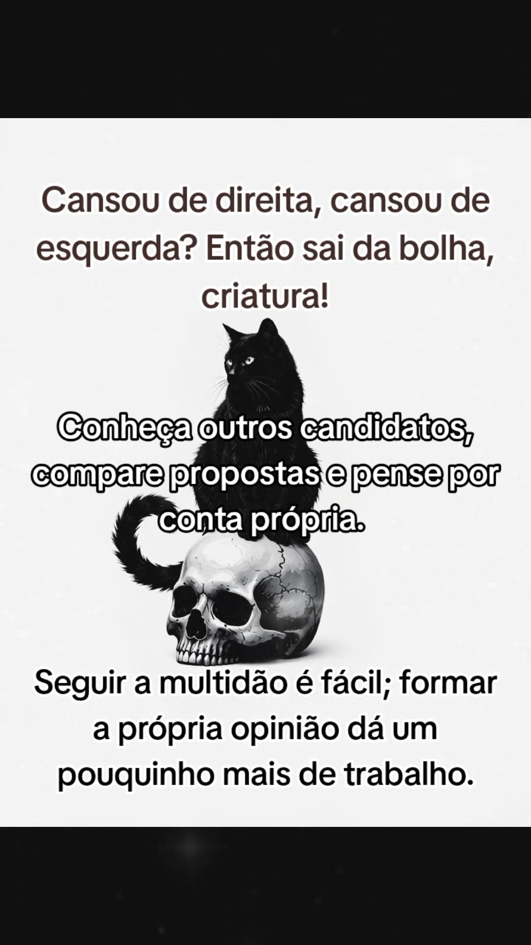 @Gato Xadrez