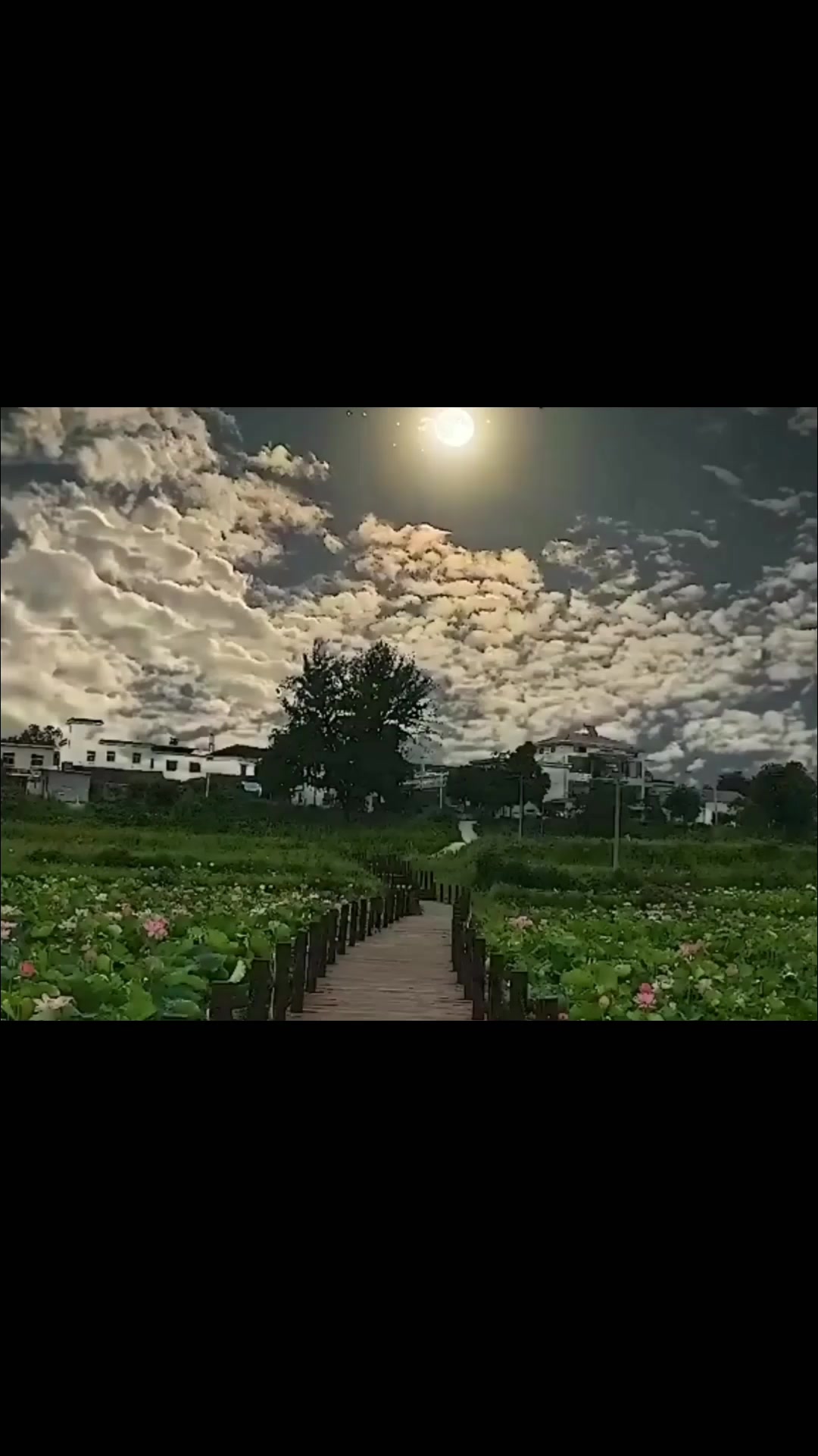 @Arabic Nasheed.!