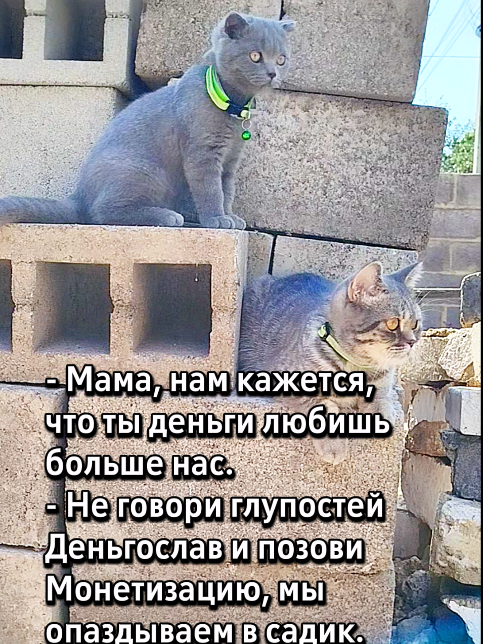@😻Риччи&Джесси🐈Масик👼&Андрей