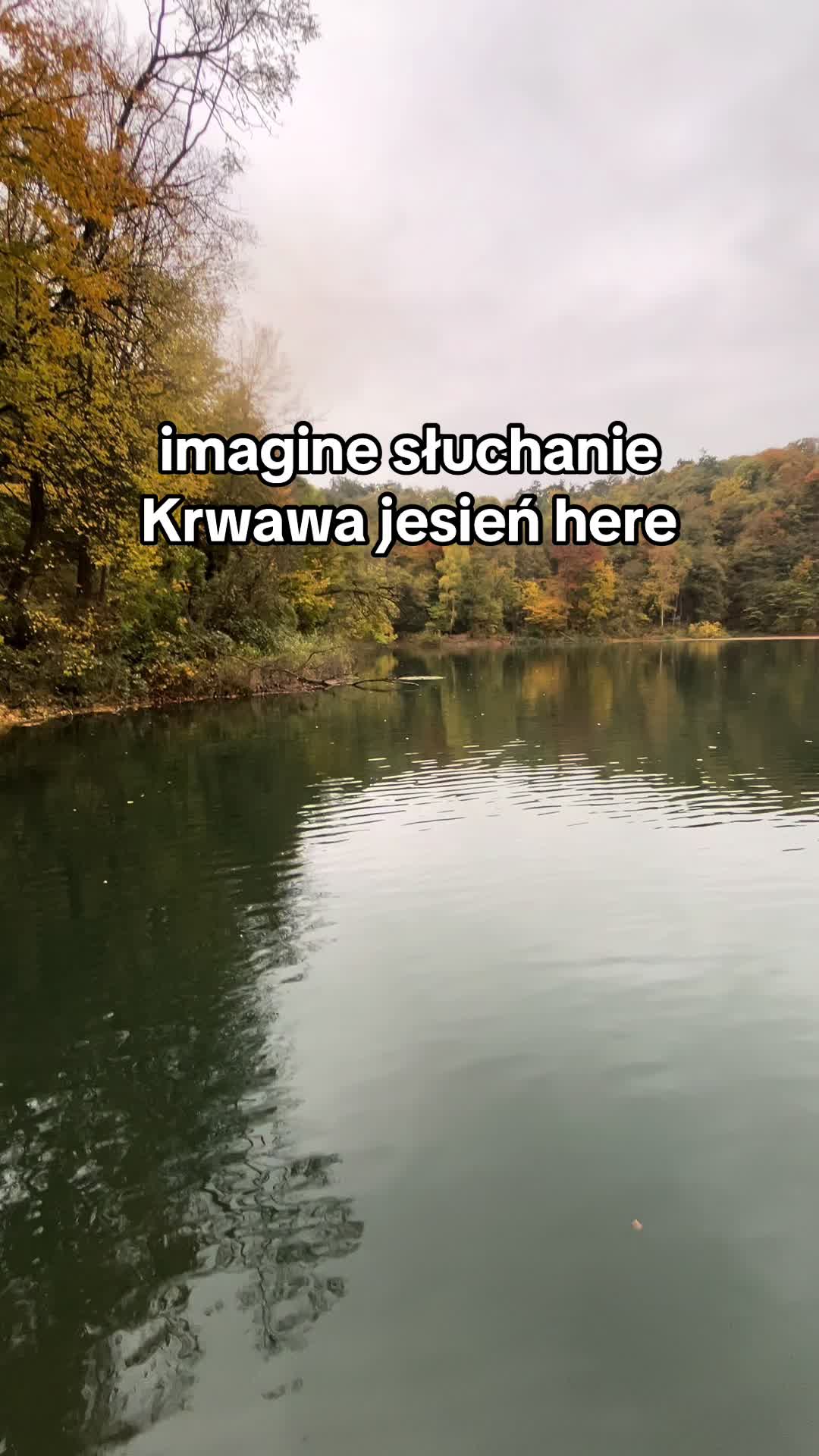 @sa1b.1