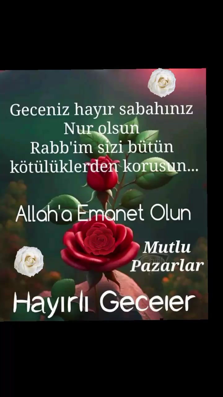 @🇹🇷Yasemin 01 35🇹🇷