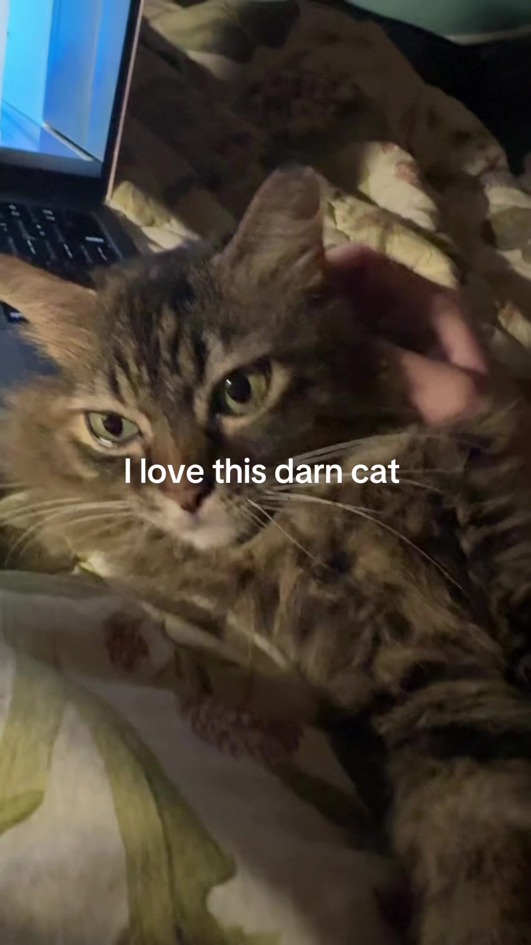 @Flarpppp