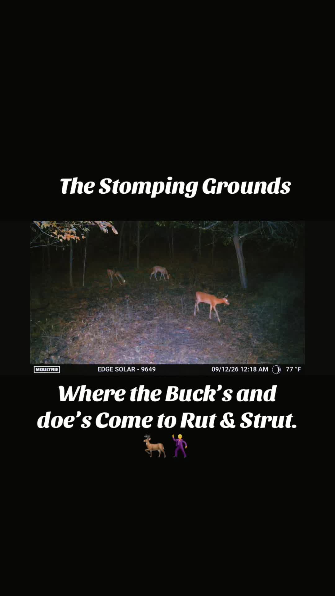 @publicland.legends