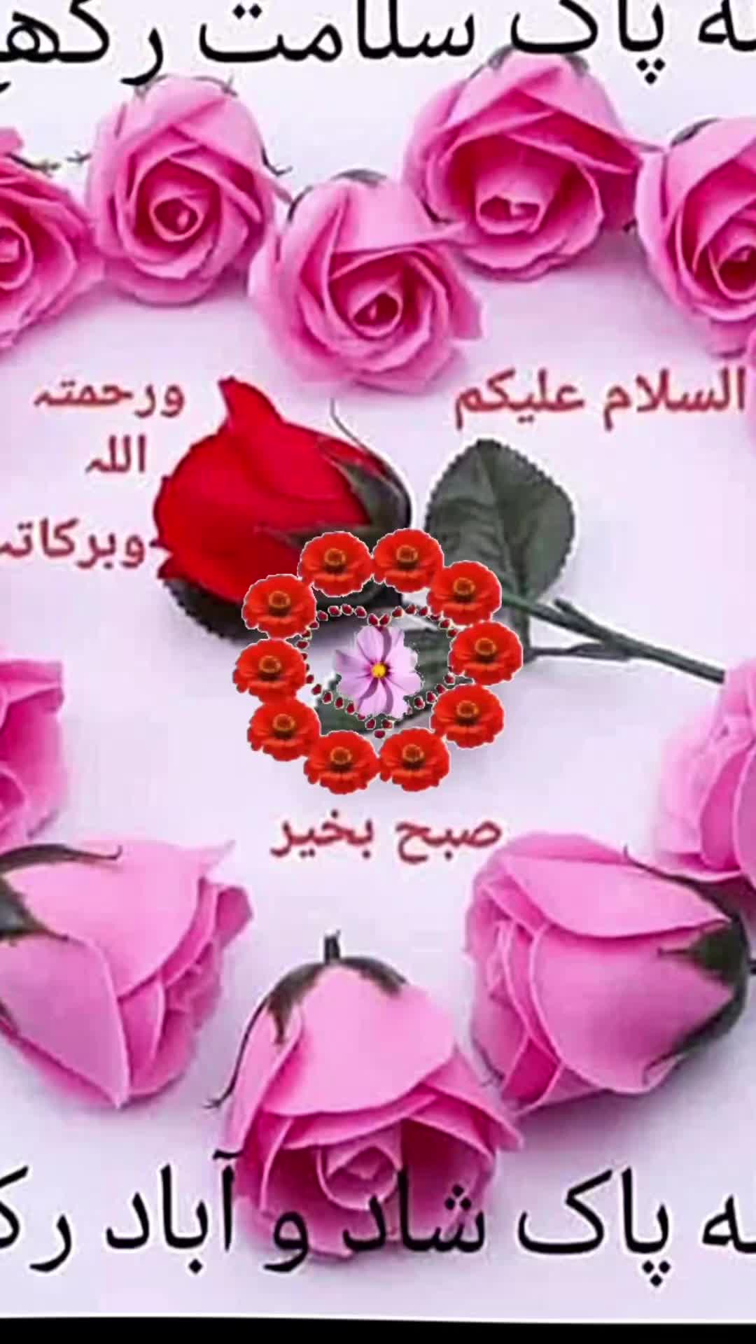 @🤍بسم اللہ الرحمن الرحیم A