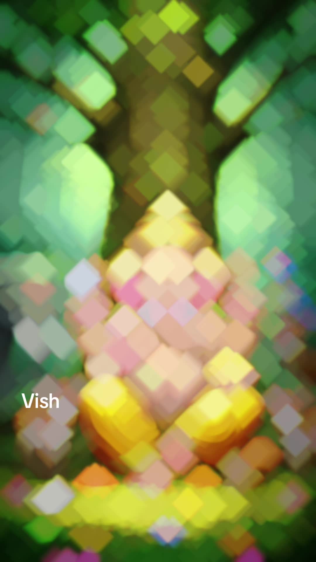 @vish
