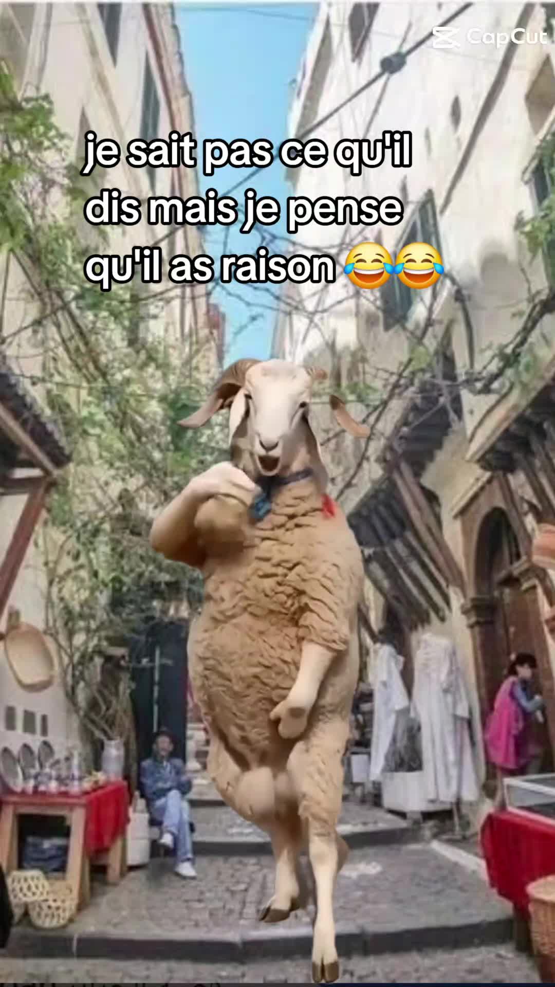 @incroyable