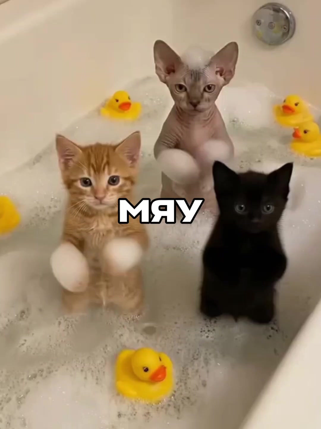 @афоня рекордс