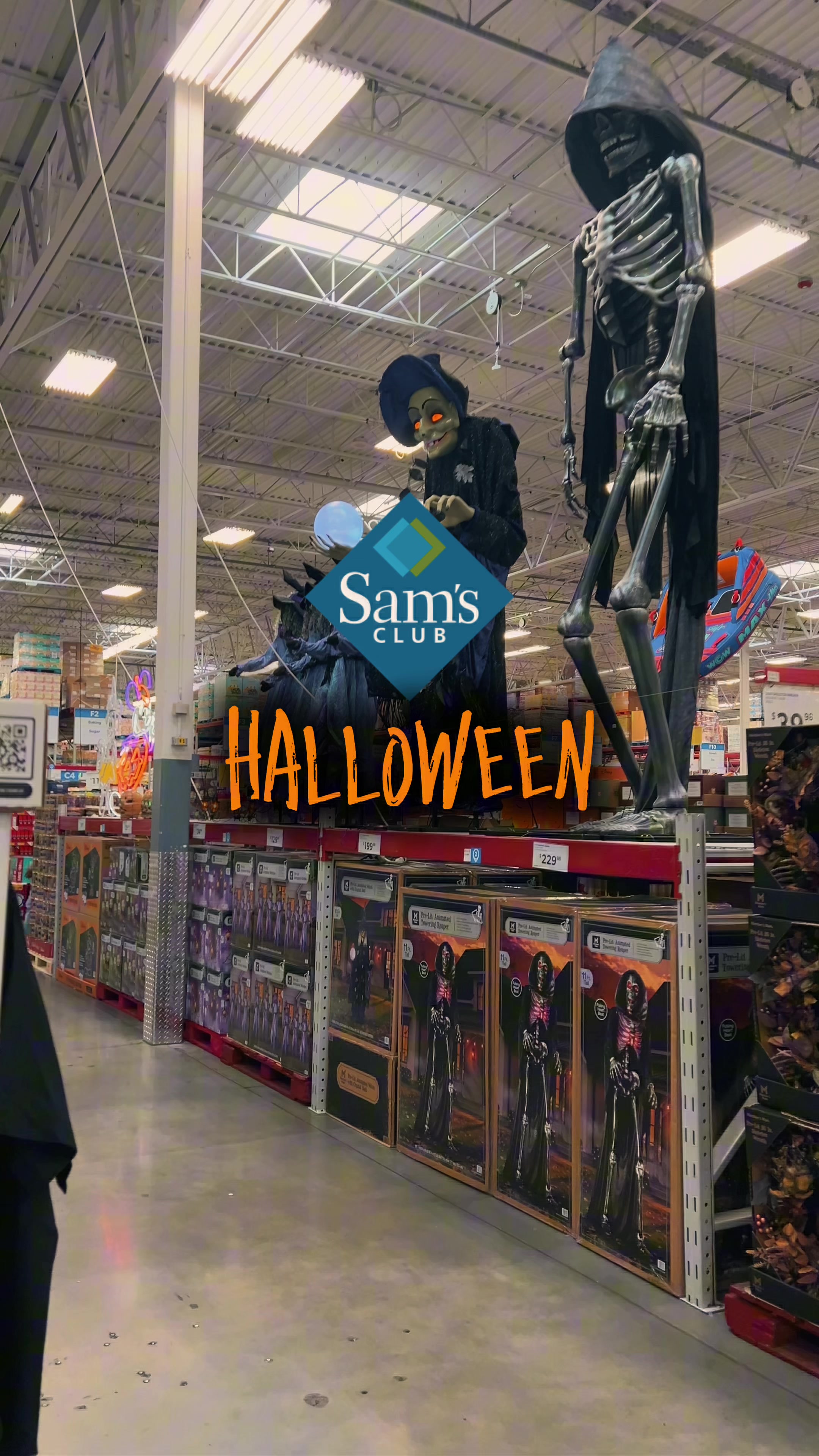 @Spooky Sara🦇🎃
