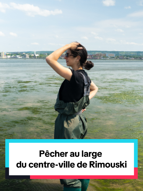 @Radio-Can au Bas-Saint-Laurent
