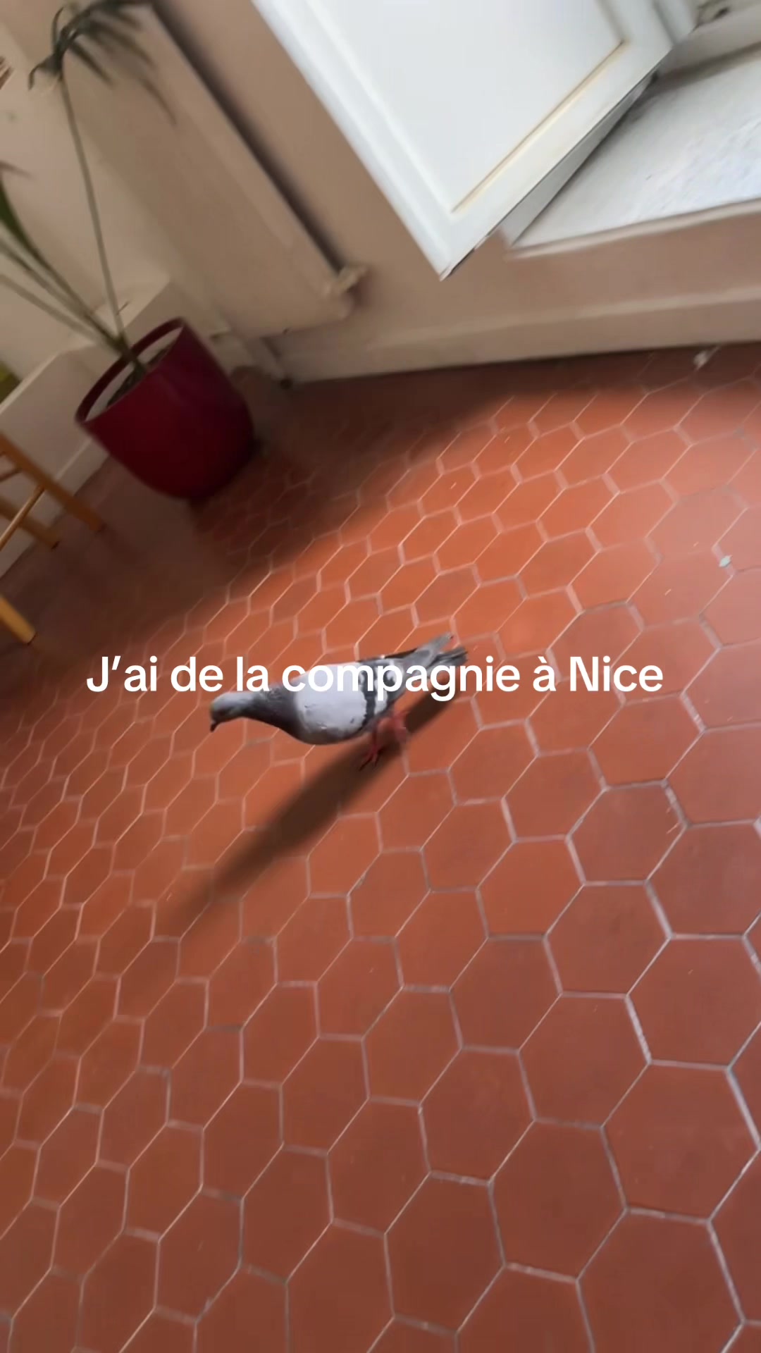 @Lise & Gaëlle 🖤 wlw