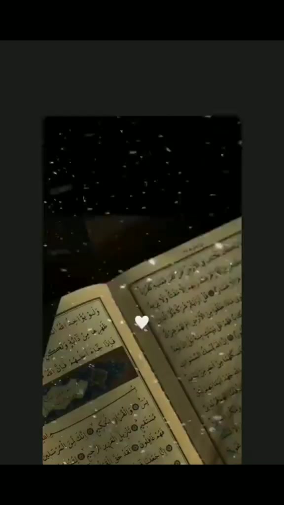 @EL_VEKİL☝🏻