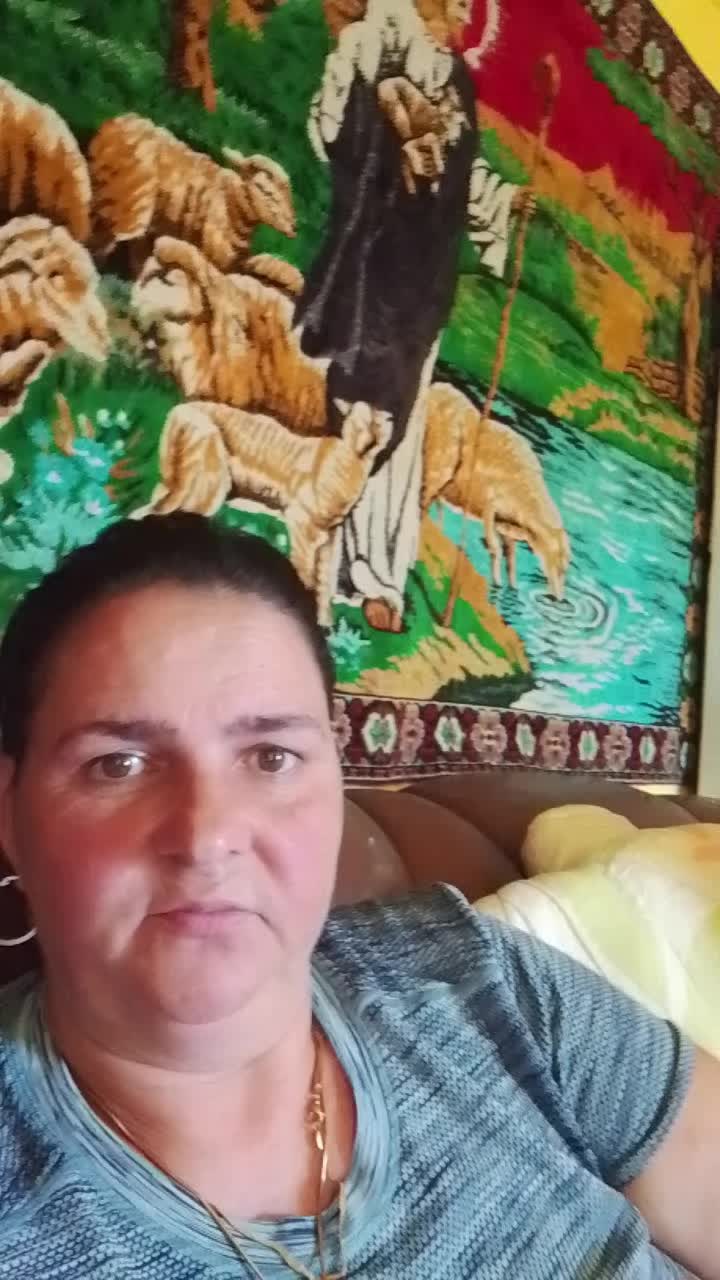 @petronelazamfor